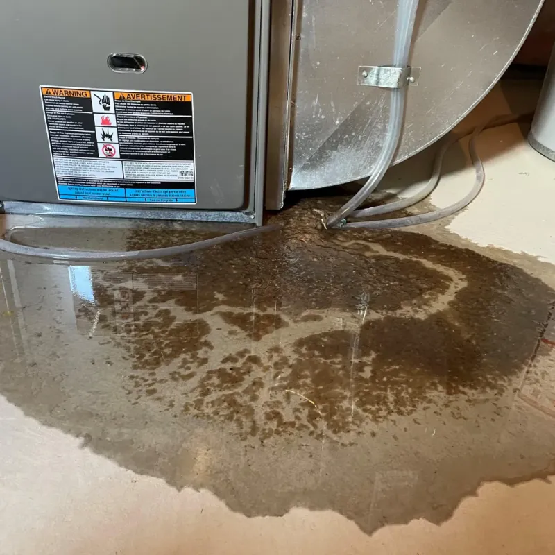 Appliance Leak Cleanup in Castle Hayne, NC